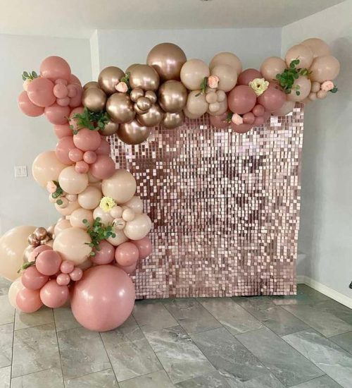 WhatsApp Image 2022-12-12 at 13.18.58